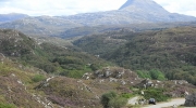 Rhicarn