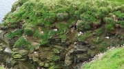 Duncansby Head