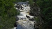 Rogie Falls - near Dingwall