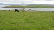 Orkneys- the former ship's entrance, blocked by sunken boats