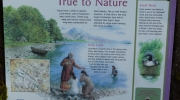 Beinn Eighe - True to Nature