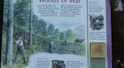 Beinn Eighe - Woods of War