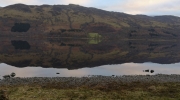 Loch Rannoch - Wasserspiegelungen