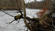 Blick Richtung Falls of Darroch